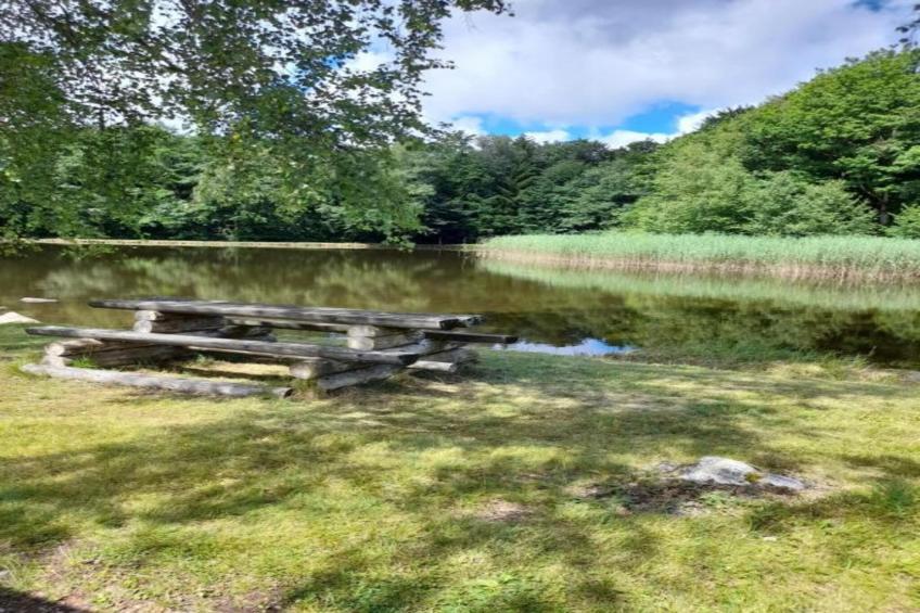 Maison de vacances - ESMOULIÈRES - foto 22