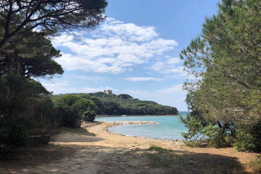 Le Mimose nr 12 - foto 6