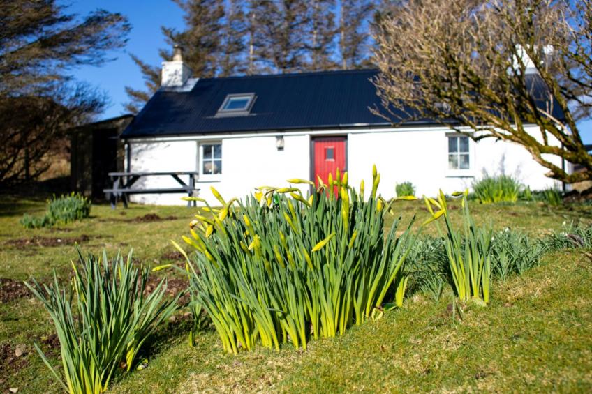 The Cottage - foto 52