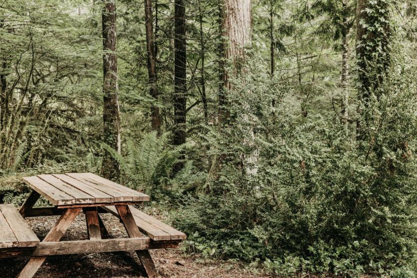 Hütte "Snowline" mit gemeinschaftlichem Pool - foto 24