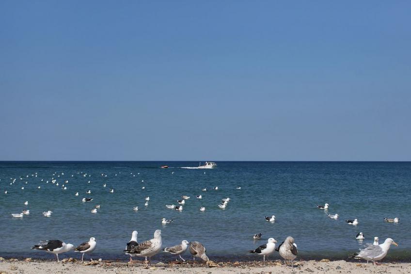 "Fani" - 200m from the sea - foto 30
