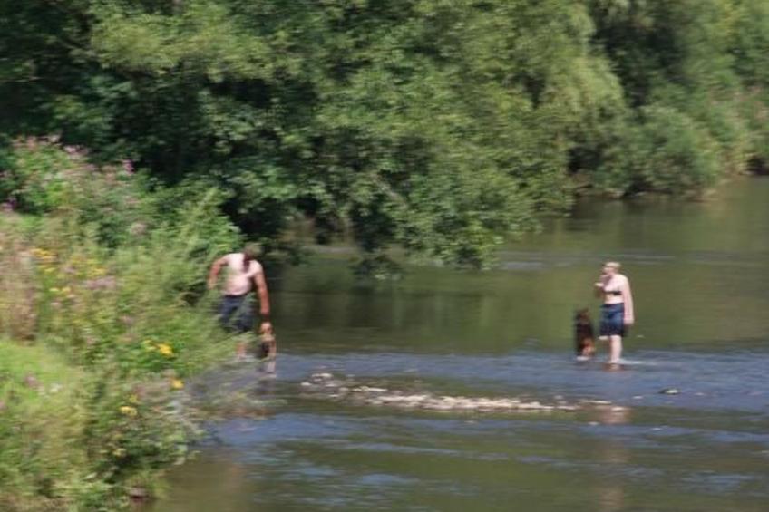 in Waldbreitbach mit Whirlpool - foto 16
