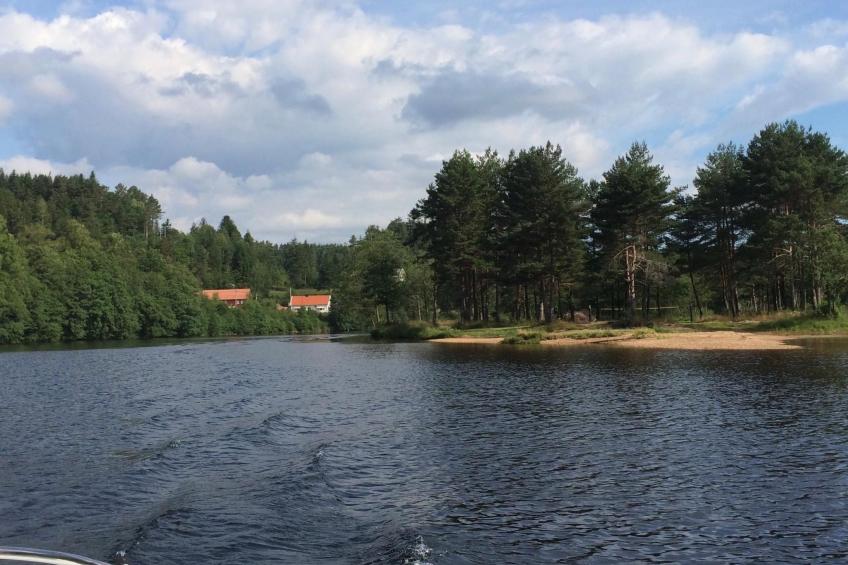 mit Blick auf das Wasser - foto 2