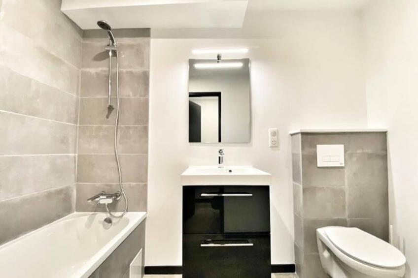 Le Grand Frontalier - foto 15