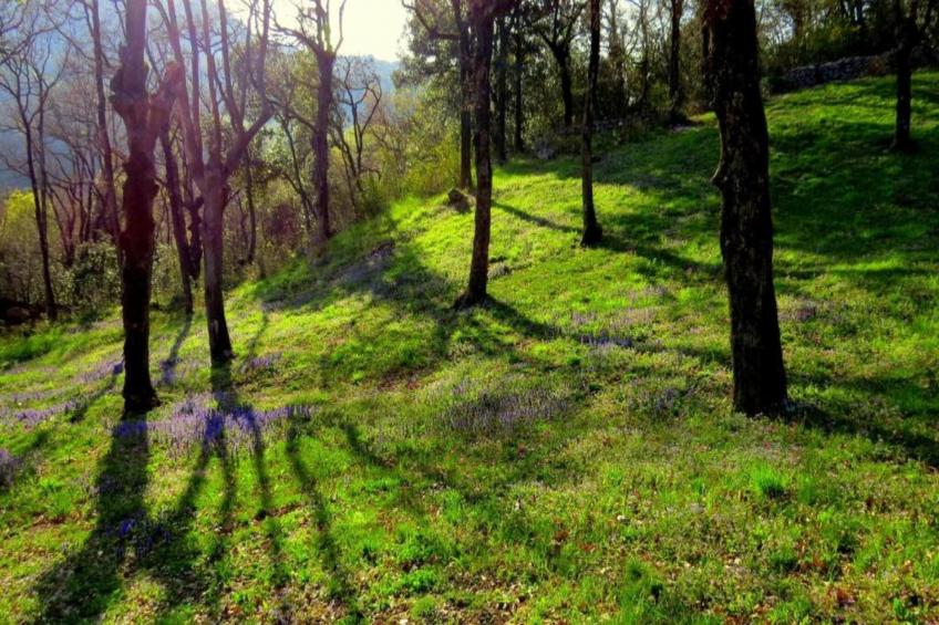 Apartments Indira - Tara - One Bedroom Apartment - foto 13