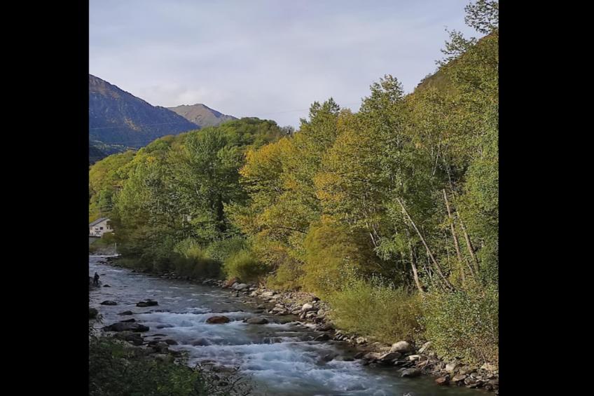 Résidence Pic De Lia - foto 20