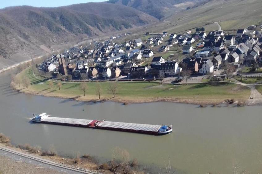 Weingut Hausmann - foto 21