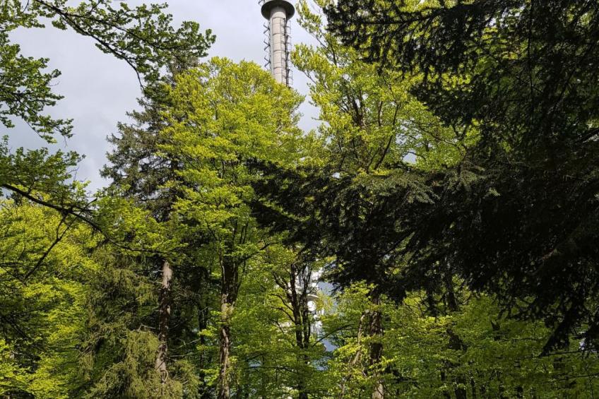 Charmante Wohnung in Langfurth mit Kleinem Balkon - foto 19