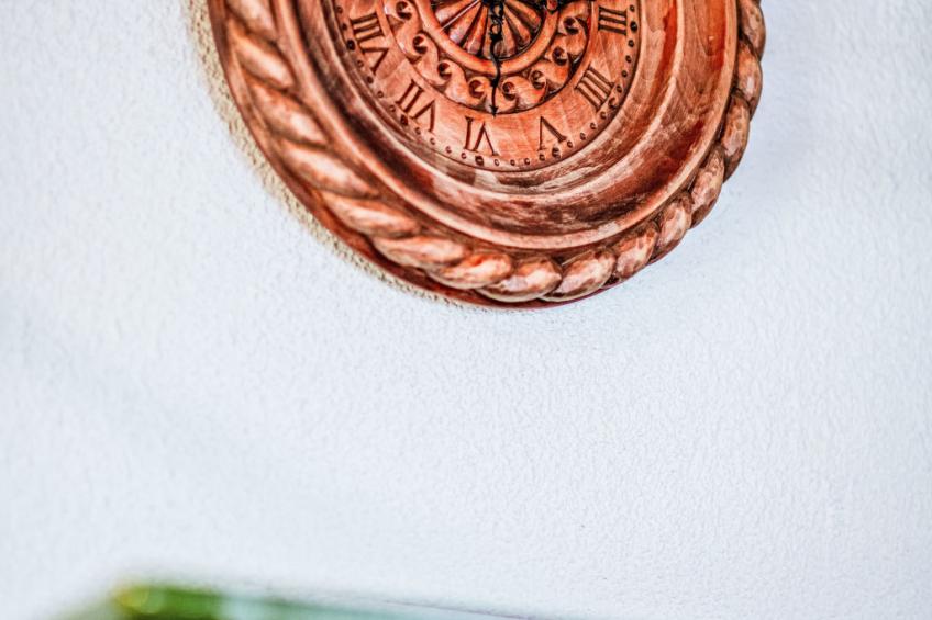 Ferienwohnung Gartenblick - foto 58