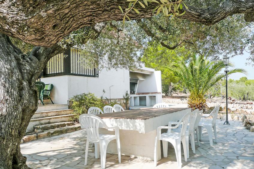 El Rinconcito - foto 2