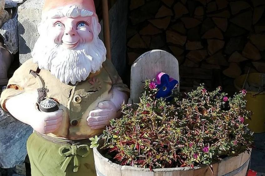 mit Bergblick - foto 28