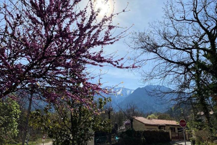 Résidence Balcon Du Canigou - foto 13