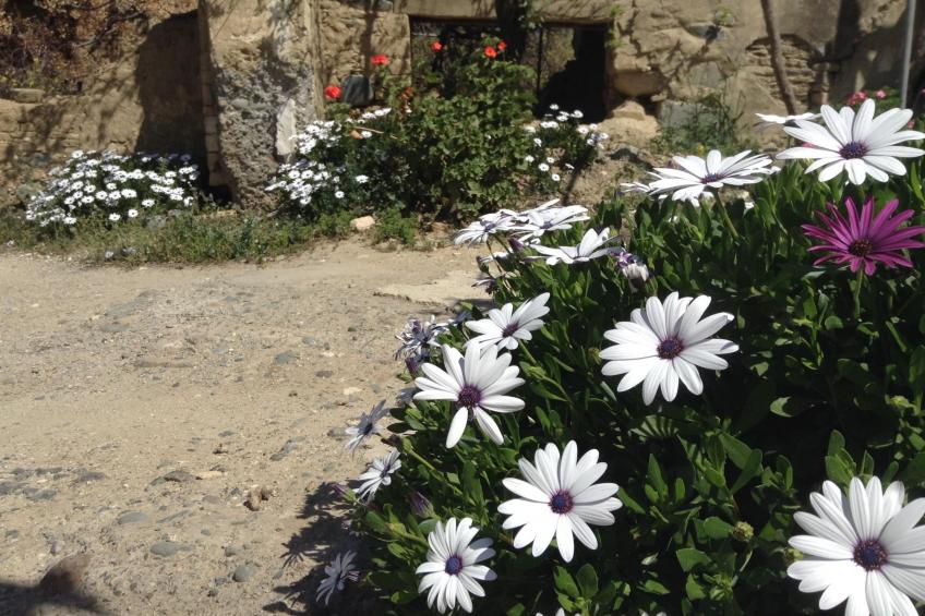 Gästehaus Gonia - foto 19