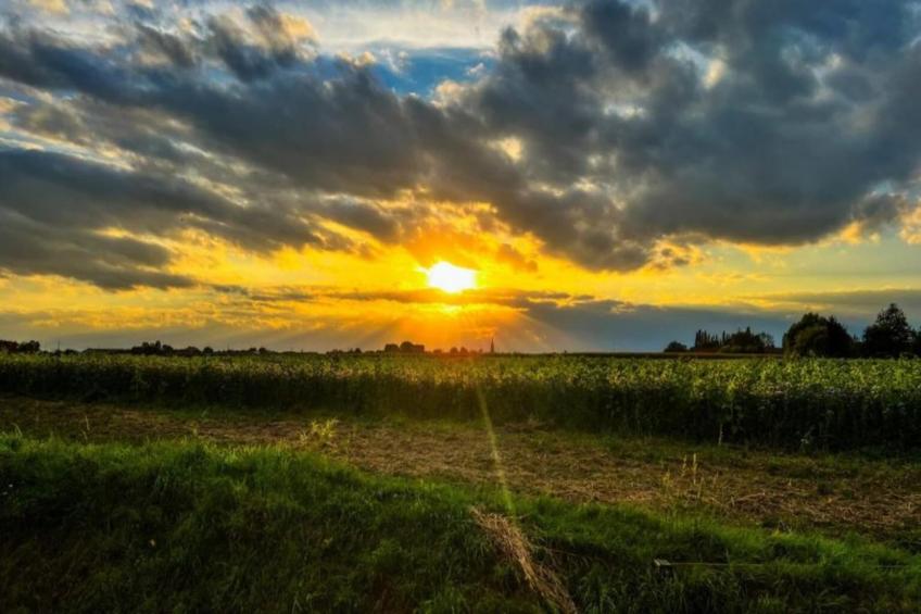 De Zoete inval - foto 35