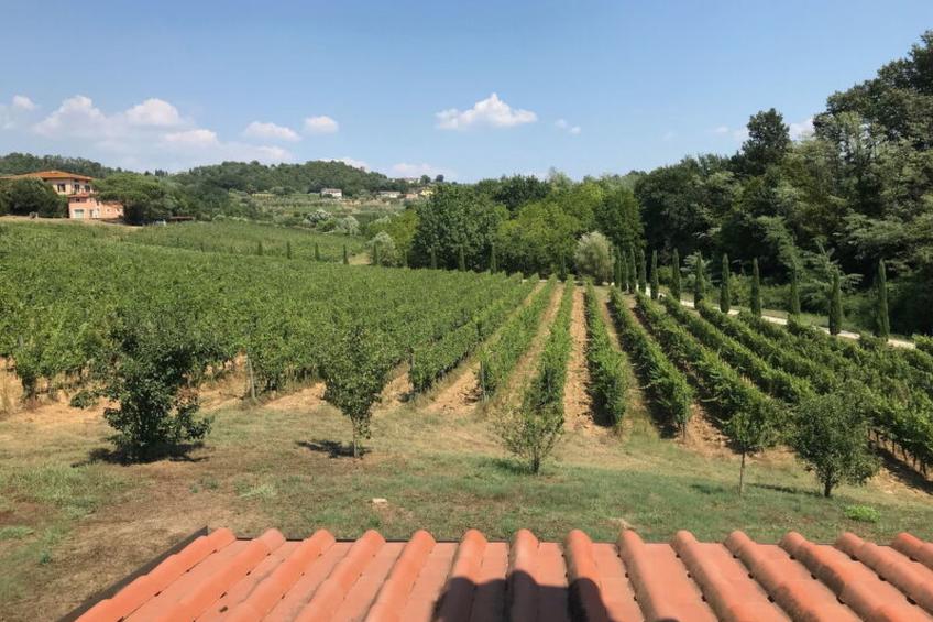 Il Sogno Tra i Vigneti - foto 2