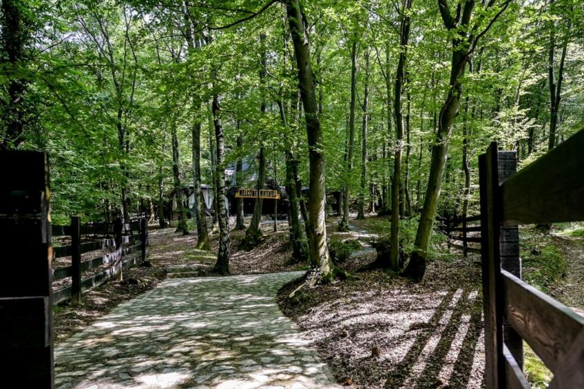 House Cabin Winterfell - foto 4