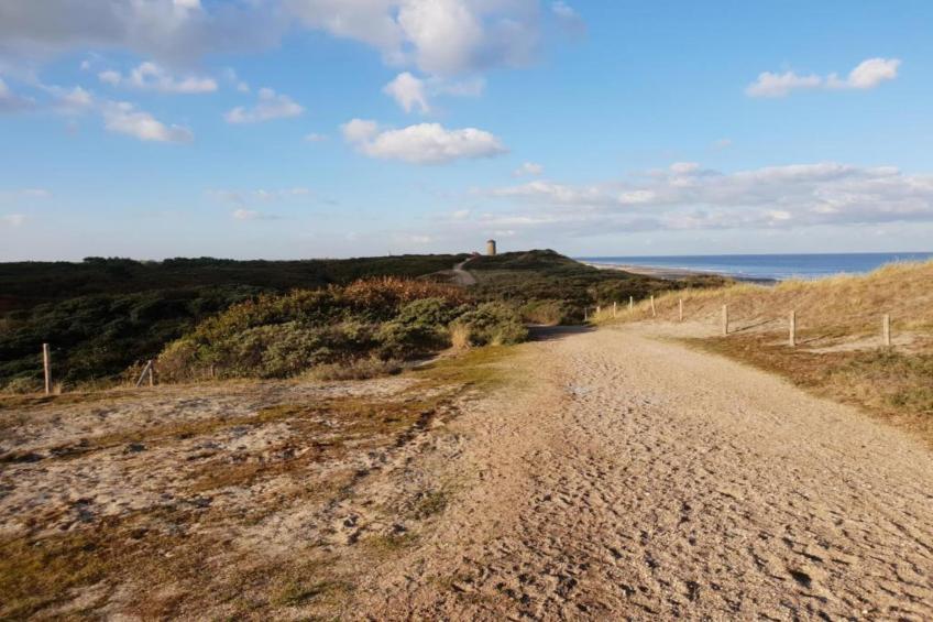 De Zeeuwse Schuur - comfort 3 personen huisdier - foto 26