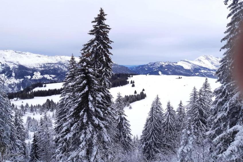 Résidence Prestige Mendi Alde - foto 28