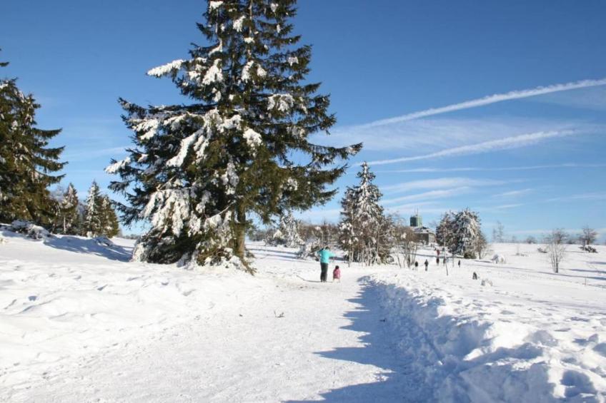 Im Ries III - foto 12