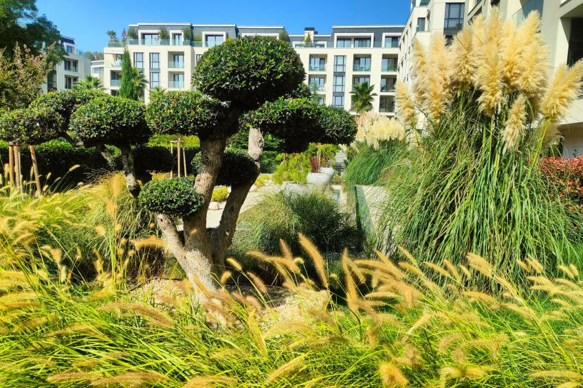 Studio "Allure Varna" mit Infinity-Pool - foto 2