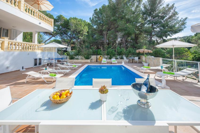 Casa Feliz - foto 37