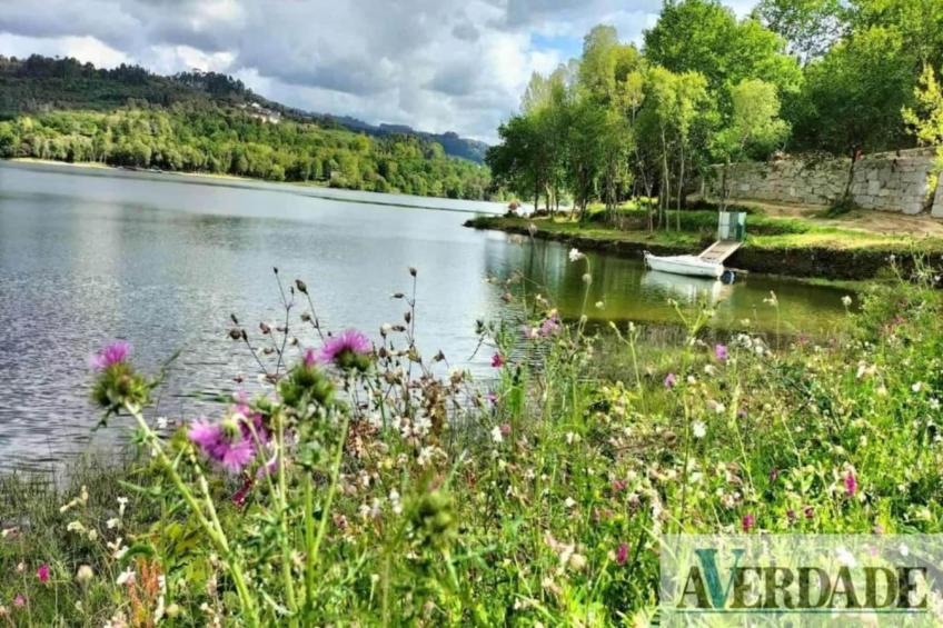 Casa das Laranjeiras - foto 30