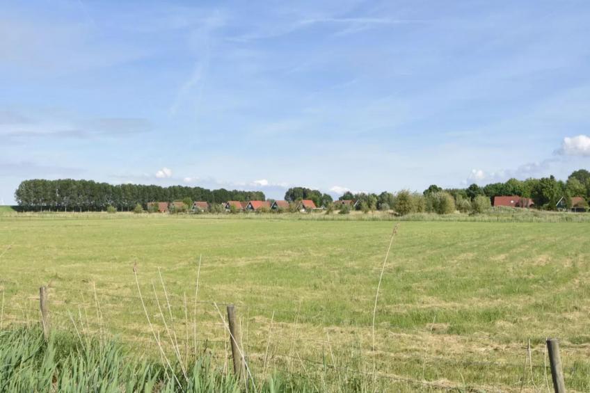 Poldergeluk - foto 6