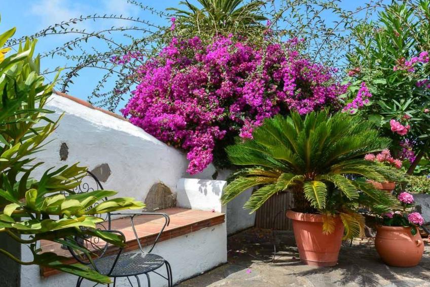 Renovierte Finca Paradies mit privatem Pool - foto 9