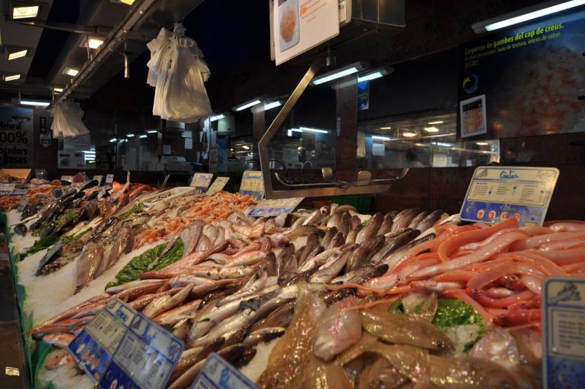 1160 CONCORDIA vista Mar - foto 18