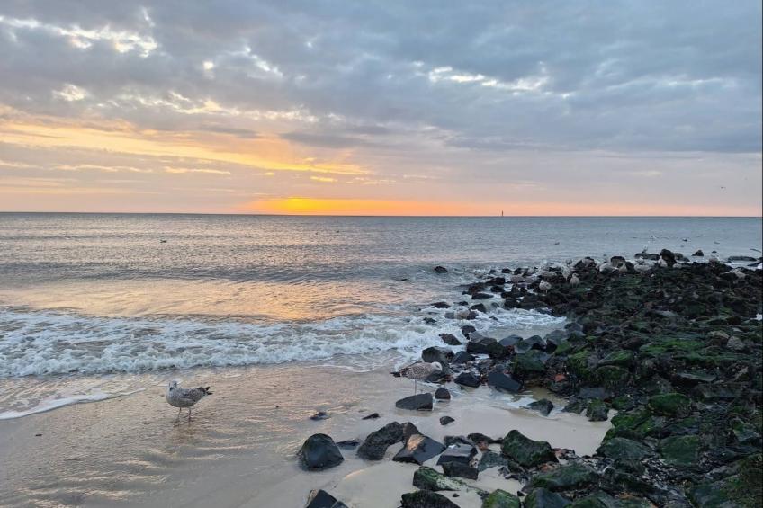 Appartementenhuis Andrea, Westerland - Type D - foto 13