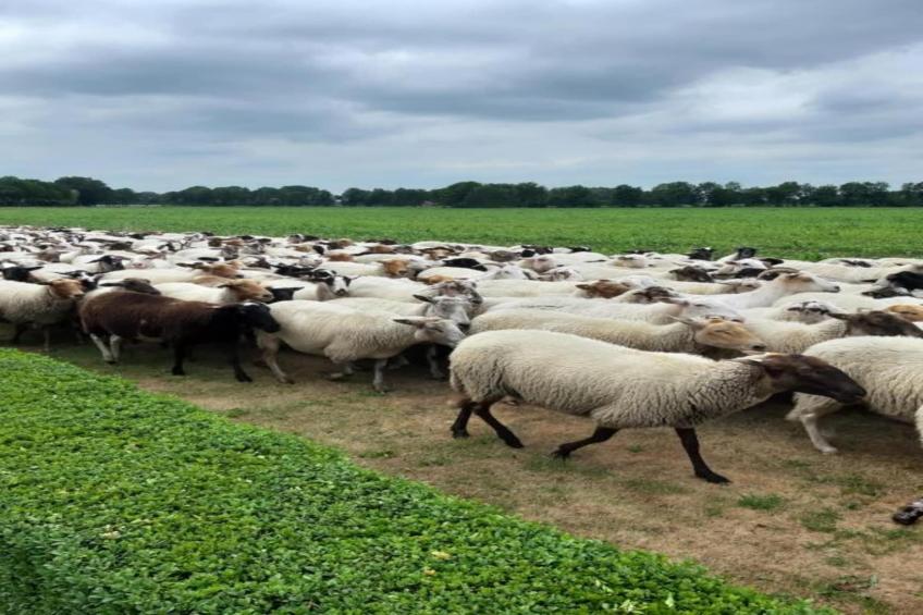 Chalet Egel - foto 19