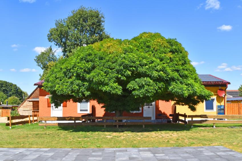 Holiday flat, Mirow