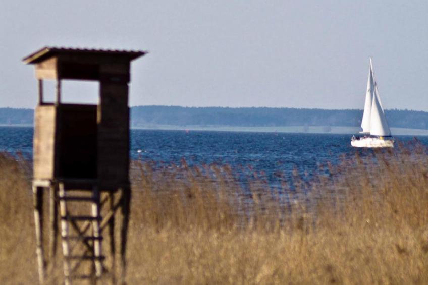 Am Apothekerberg - foto 35