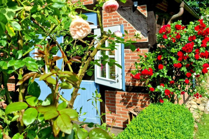 Luxuszeit zu Zweit - foto 7