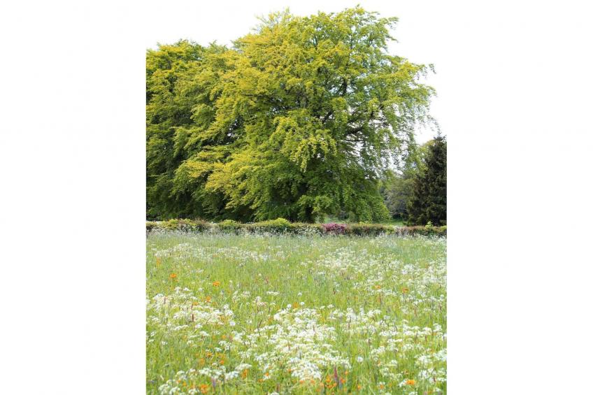 Haus Hunnenberg 2 - foto 36