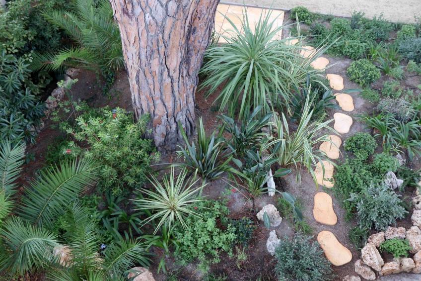 Villa Mascotte - foto 19