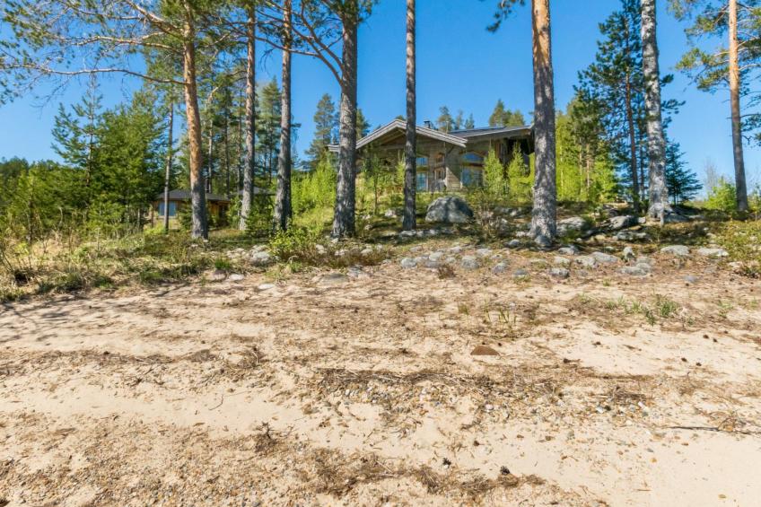 Villa pyöriäinen - foto 9