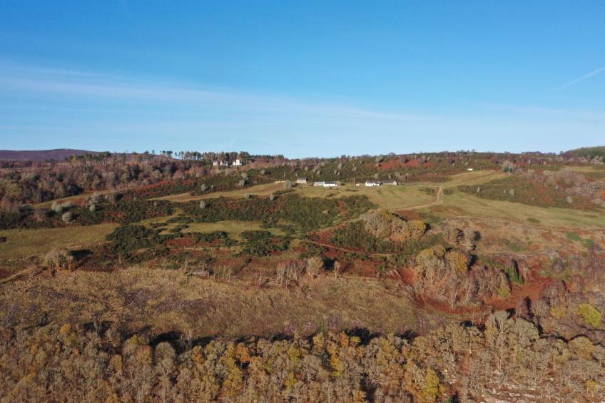 Wester Bunloit - foto 36