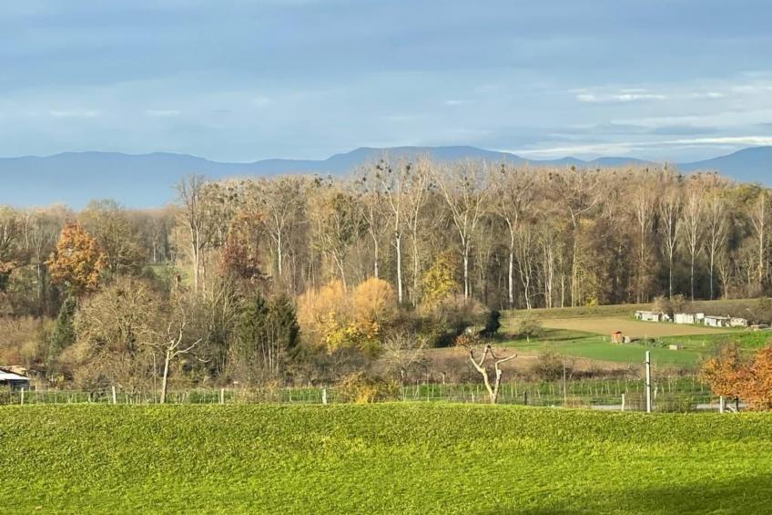 Max Mountain View - foto 4