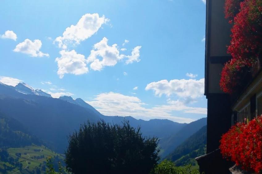 Haldenhof Schwizer - foto 5