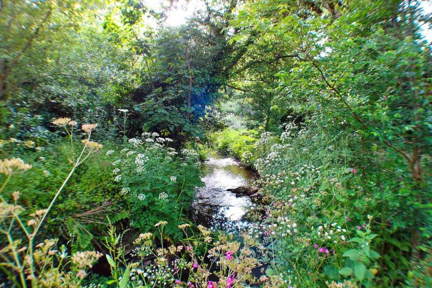 Porthcothan Mill Cottage - foto 20