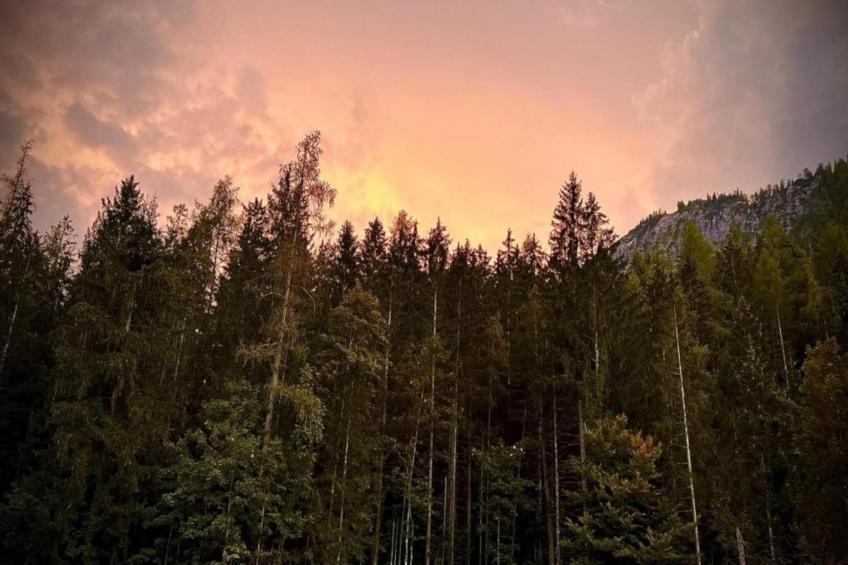 Schönau am Königssee - foto 33