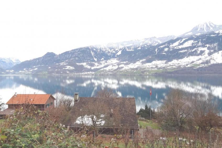 Chalet Regula am See - foto 33