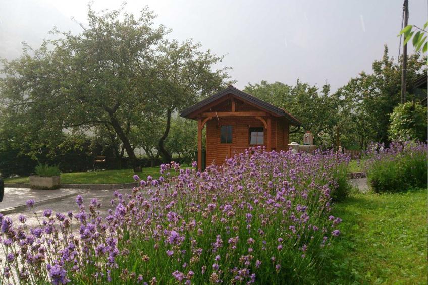 Wohnung Lapanja 2 mit Gemeinschaftsgarten - foto 2