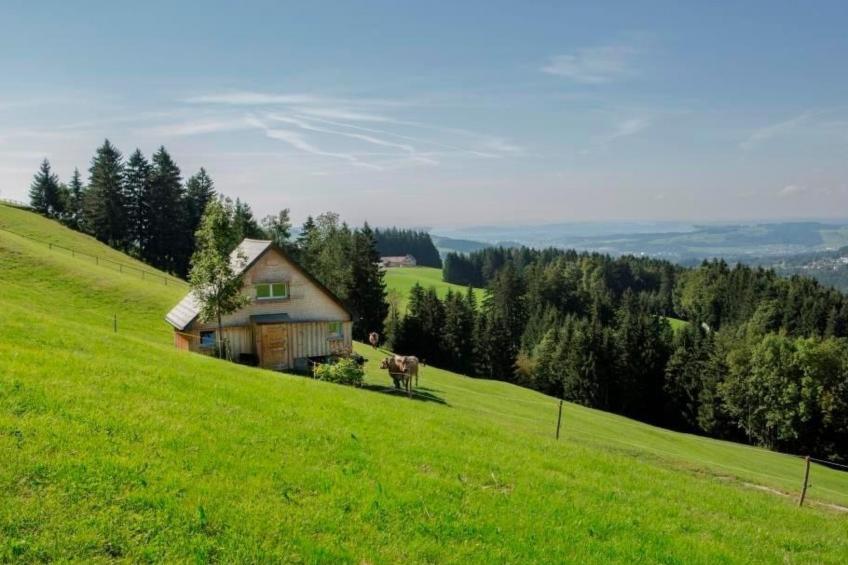 Bauernhof Fendrig  - neue Wohnung - foto 19