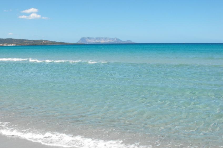 Cielo Holiday House - foto 15