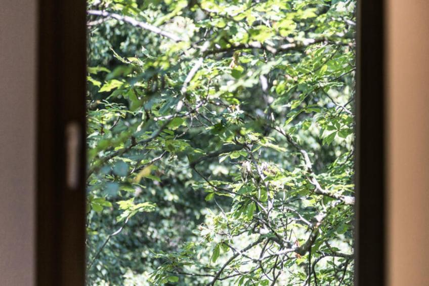 Maison à Sant Hilari Sacalm - foto 31