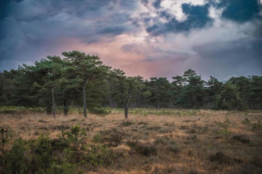 Chalet Vrijzicht - foto 30