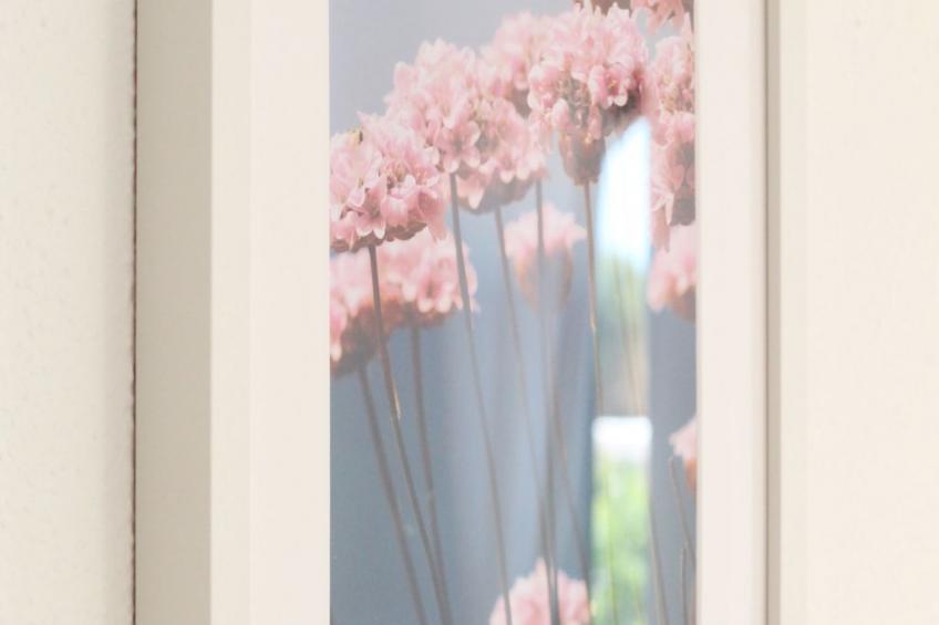 Rustikales, erschwingliches Sommerhaus in Strandnähe - foto 47