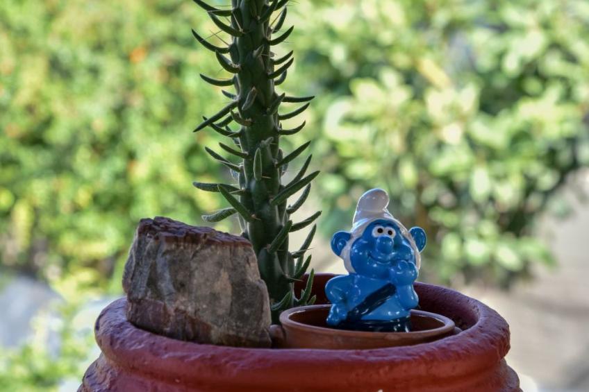 Gorgona Apt - Ihr Traum-1-BDR-Ferienhaus - foto 4